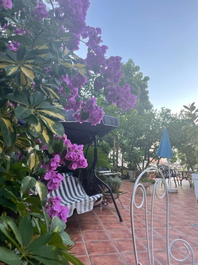 Apartmani Iva Becici Exterior foto